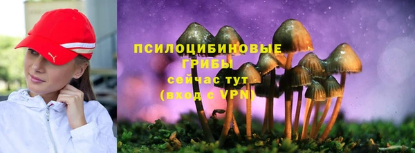 прущие крисы Белоозёрский