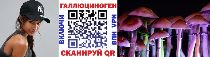 Псилоцибиновые грибы GOLDEN TEACHER  Новокузнецк 